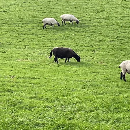 Grachtenglueck Apartment Greetsiel