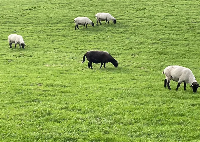 Grachtenglueck Apartament Greetsiel